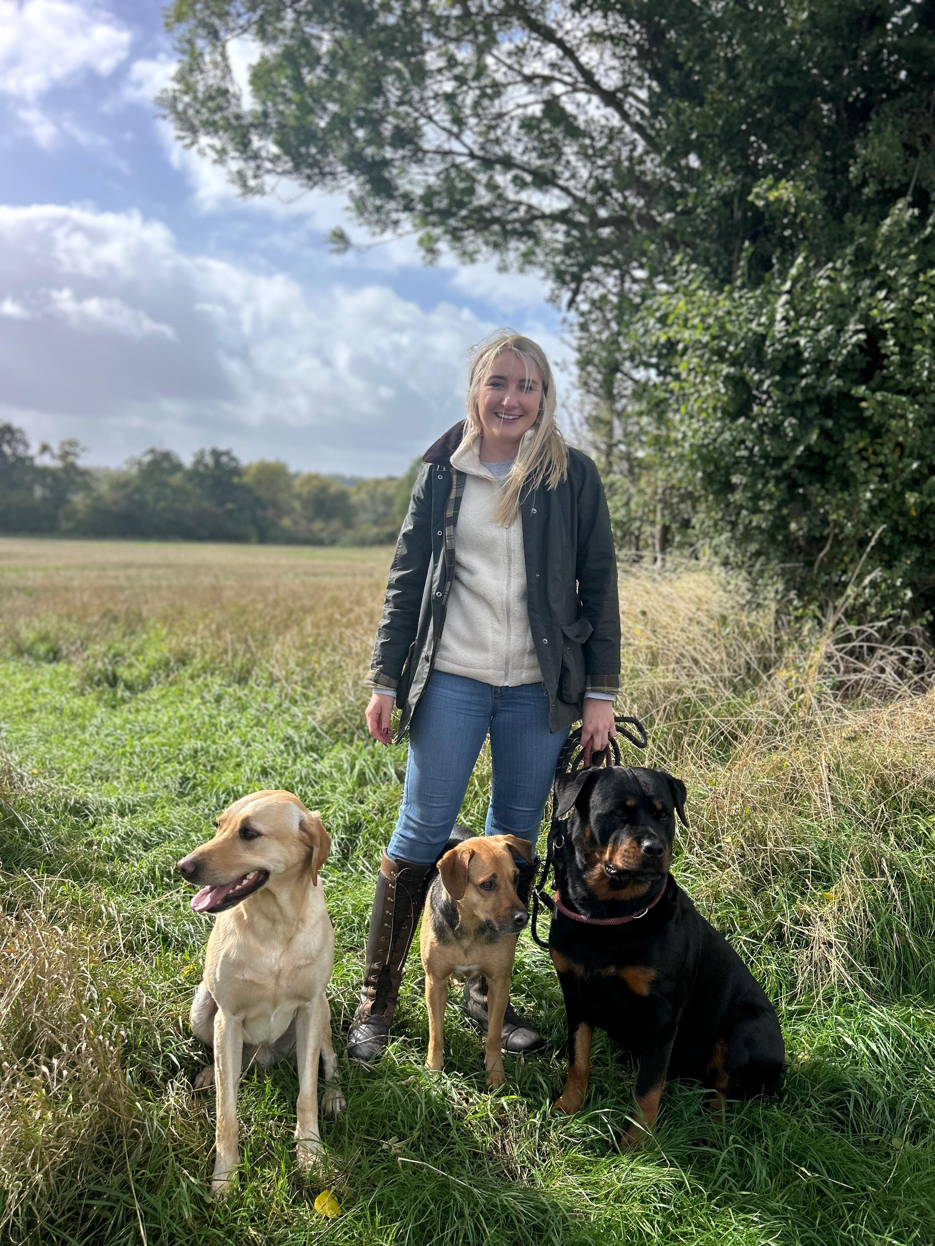 Welcome to Harriet’s Hounds