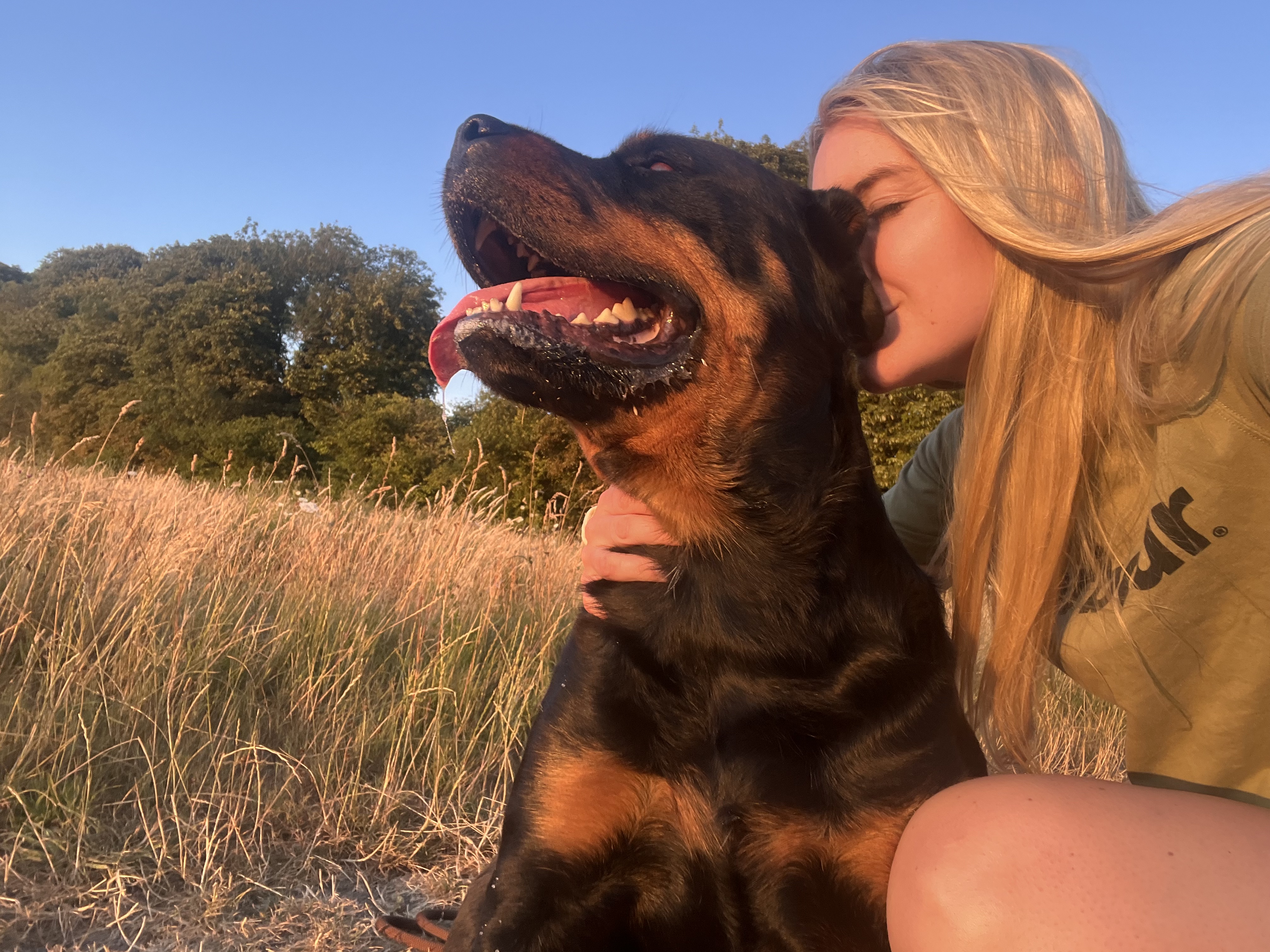 Why I Always Do a Meet & Greet Before Walking a Dog